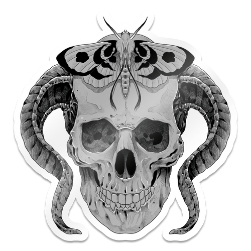 Horned Skull