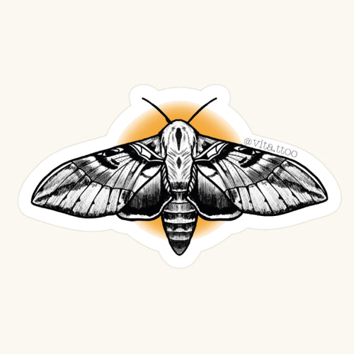 Moth