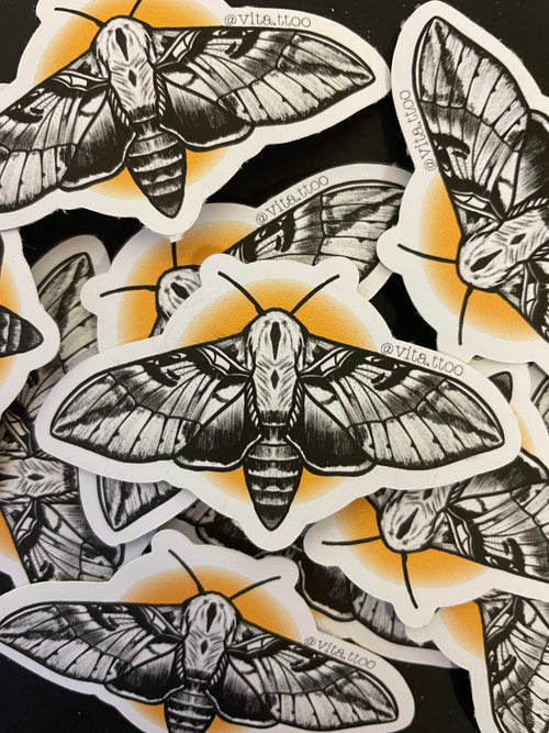 Moth